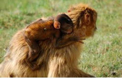 Apartamento Aurora - Foto 39