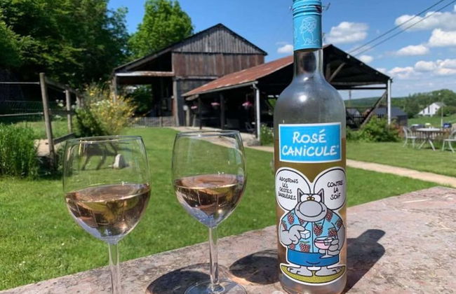 Charming Farmhouse With Large Terrace - Foto 49