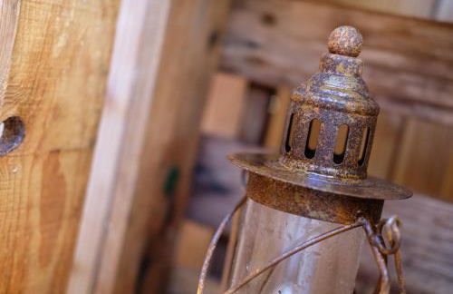 Racoon - Außergewöhnliches Tinyhauserlebnis beim Reptilienzoo Reptilium - Foto 45