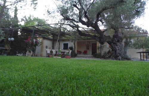 TheNi Olive Grove Villa - Foto 10