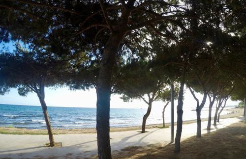 Apartamento Port Marino Piscina Parking Gratis y Terraza en Cambrils - Photo 30