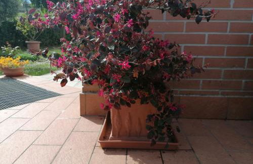 Goccia in Valdorcia Smart Home - Foto 48