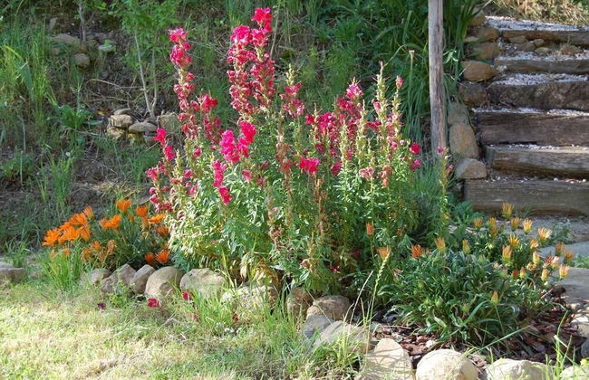 Agriturismo SPA Serpanera - Foto 40