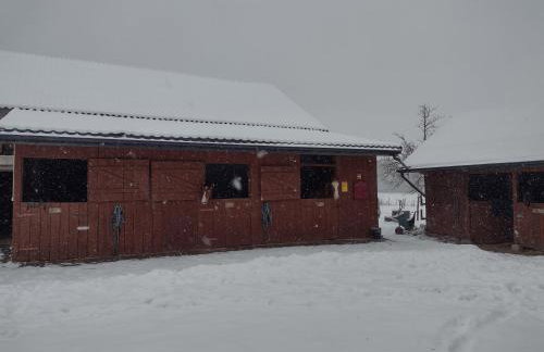 Kolorowe Wzgórze agroturystyka i konie - Foto 18