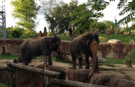 Grant Park Estate - Photo 44