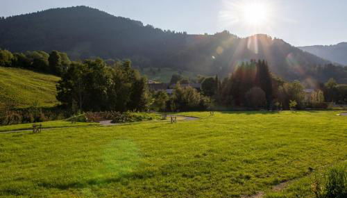 Der Bienenkorb - Foto 4