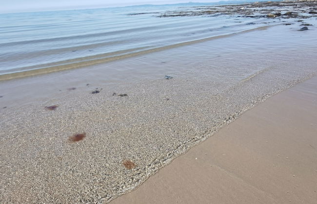 Snowdonia Holiday Sea Beach and Mountains View - Photo 40