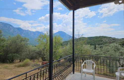 Ελαιώνας με θέα στο βουνό - Foto 5