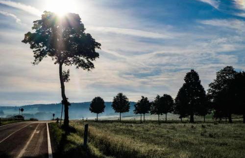 Chalet in Reinskopf With Fireplace - Foto 54