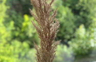 Cozy Apartment Wolke2 mit Balkon - Foto 67