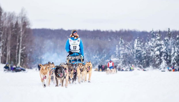 A bordo di una slitta trainata da cani husky