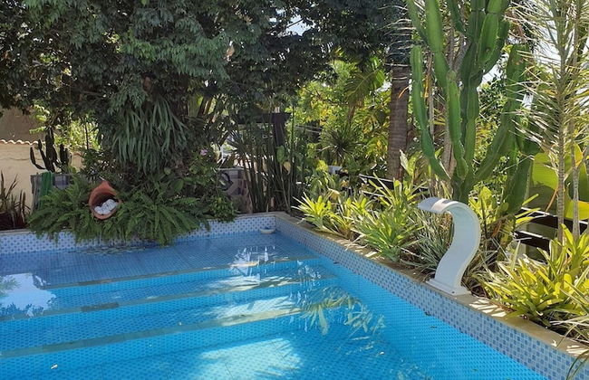 Andorinhas - Foto 17