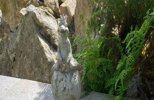 Forsthauswohnung im Schwarzwald - Foto 21