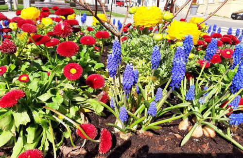 Haus Naturenergie - Foto 31