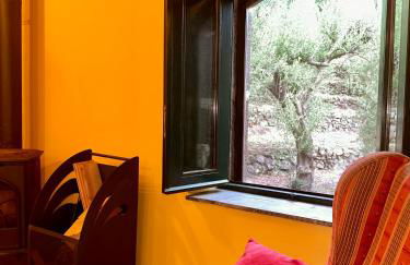 Tenuta Reganati - Foto 16