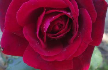 Haraki Mare Studios beach front - Foto 47