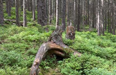 Grudza83 Bikepoint - Foto 38