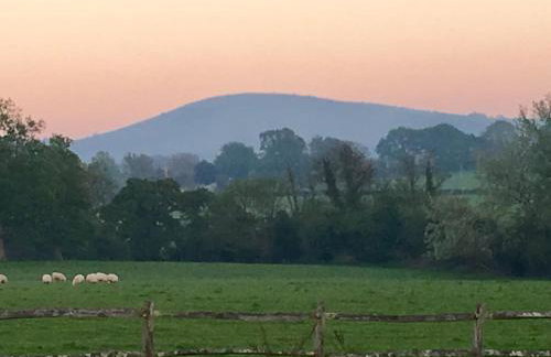 Idyllic Country Cottage South Downs - Photo 11