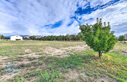 The Vineyard Country Farm Home at Grand Valley - Foto 28