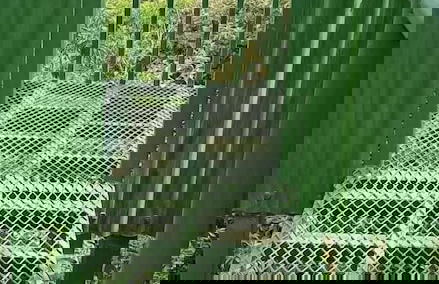 Rincón De Gaetano - Photo 26