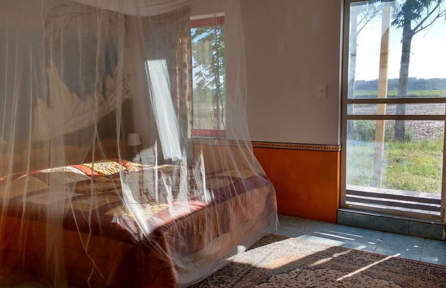 Termas da Azenha - Photo 12