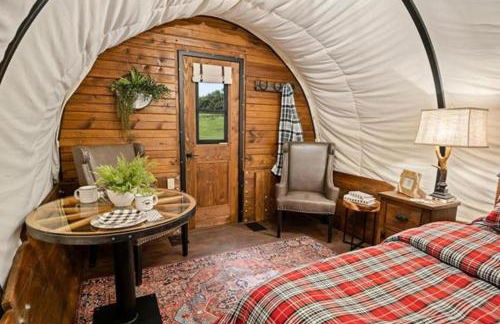 Grand Canyon Covered Wagon for Family-Friendly Glamping in Meadview, Arizona - Foto 10