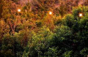 Chalé romântico super privativo com hidro e café - Photo 57