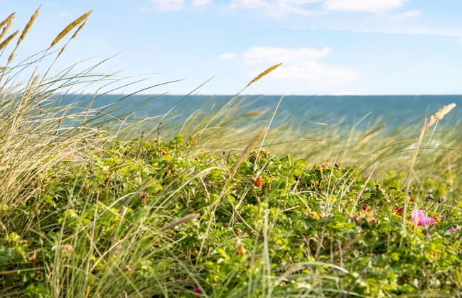 "Ebba" - 25m from the sea - Foto 9