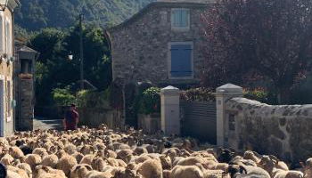 La Suite Unique - Le jardin sur les Pyrénées- vue panoramique montagne -jardin clôturé privé de 100m2-Parking-Linge de lit et serviettes compris- - Foto 4