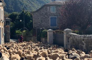 La Suite Unique - Le jardin sur les Pyrénées- vue panoramique montagne -jardin clôturé privé de 100m2-Parking-Linge de lit et serviettes compris- - Foto 4