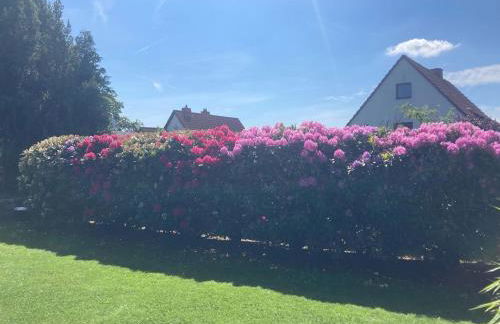 Ferienwohnung Schlossblick - 4 Sterne Sauna Pool Whirlpool exklusiv - Foto 55