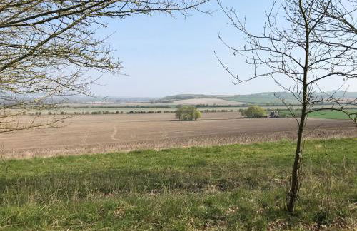 Entire guest house, in Pewsey Vale, Wiltshire - Foto 22