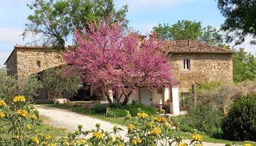 Agriturismo Timignano - Foto 2