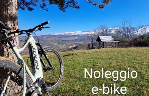 azienda agrituristica la torretta - Foto 40