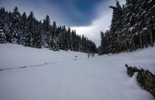 Haus Hubertus - Foto 31