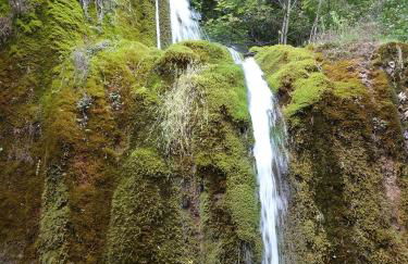 Relaxen am Nationalpark Eifel - Foto 50