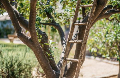 Villa delle Zagare - private hydromassage pool - Foto 53