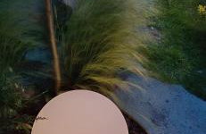 Apartament pod bukowym lasem - Foto 28