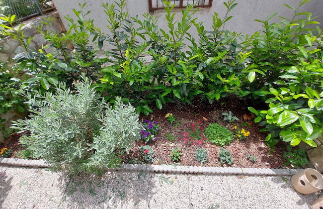 Apartments and Rooms Stone House - Foto 32