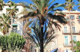 Aria BUONA - Photo 27