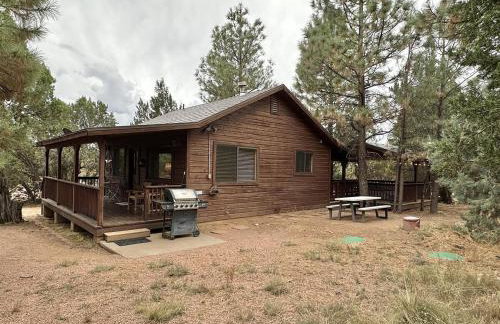 Western theme! Amazing Spa, Fireplace and Deck! - Foto 35