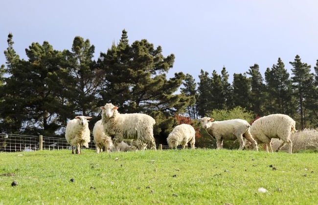 Teschemakers Resort - Foto 28