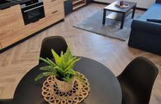 Apartament Książ - Foto 1