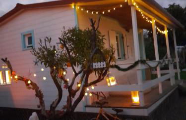 Tribo da Praia - Foto 18