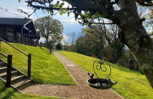 Hollybush Lodges - Foto 55