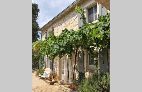 Ferienhaus Villa Alisia, wunderschönes Natursteinhaus bei Poreč, Istrien, Kroatien - Foto 10