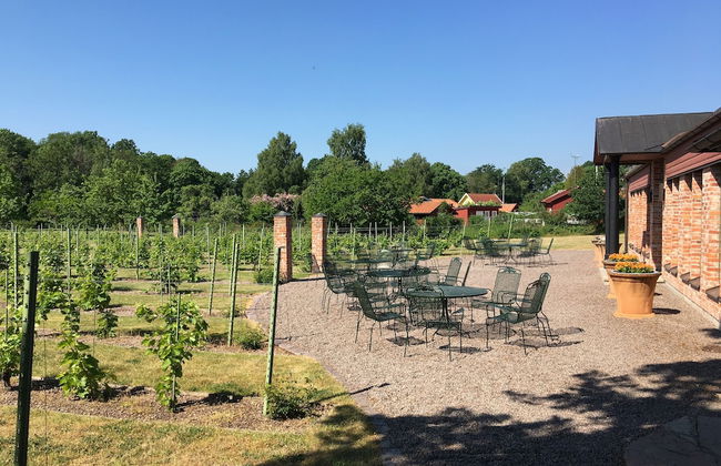 Åmund Vin & Fruktgård - Foto 47