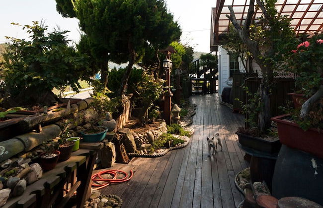 Taean White Sand Pension - Photo 78