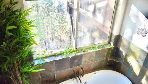 Sweet getaway in private Giant Sequoia Grove! - Foto 4