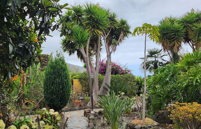 Oasis Hill Botanical Garden - Foto 62